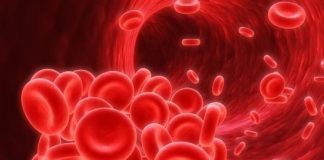 know all about pernicious anemia