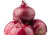 signs, symptoms and treatment of Onion Allergy